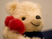 Иллюстрация к проекту. Yoshiko's Teddy Bear *2010* Фотография: naoK